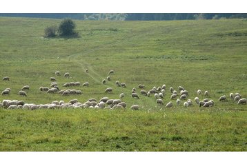 Słowacja Chata Liptowska Szczawnica / Liptovská Štiavnica, Zewnątrz